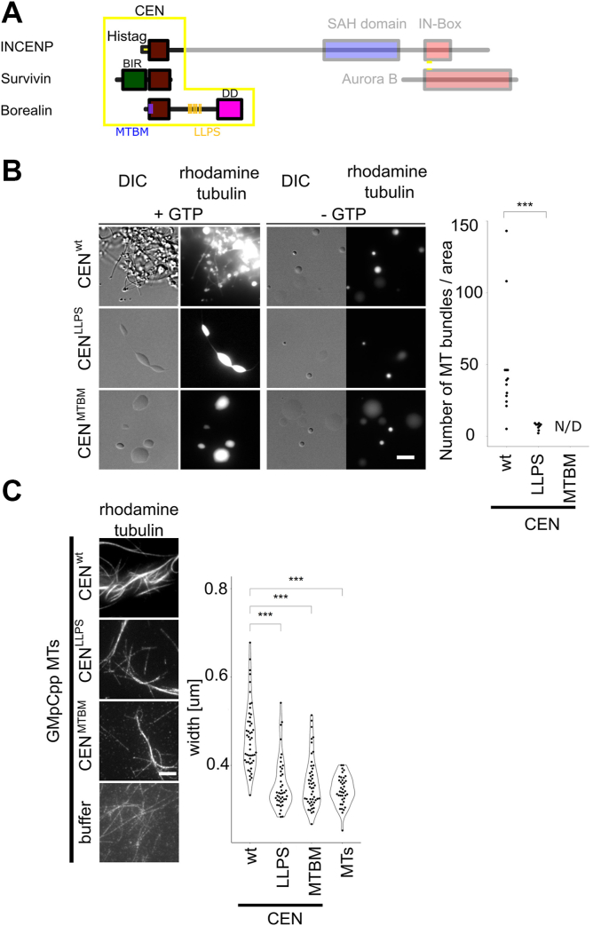 Figure 5