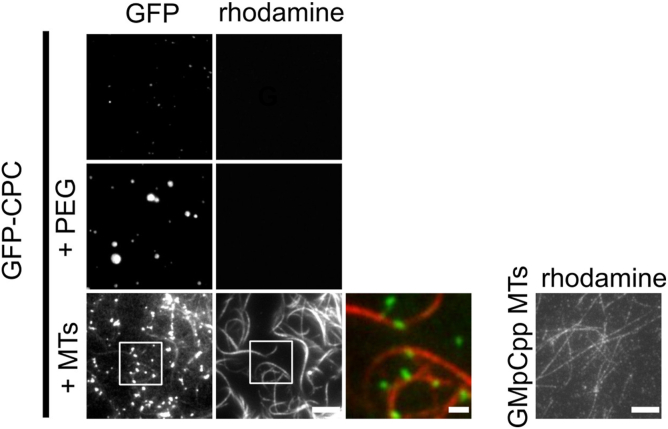 Figure 3