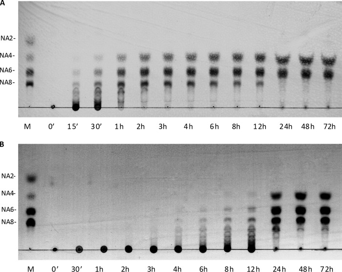 FIGURE 3.