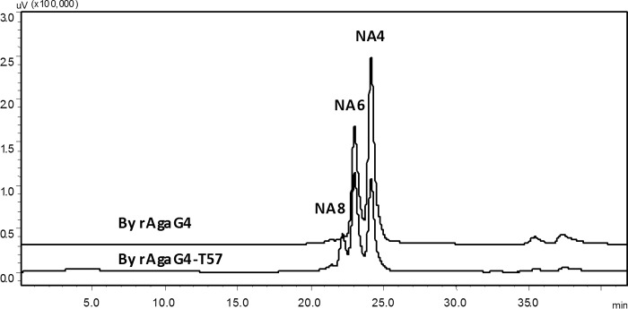 FIGURE 4.