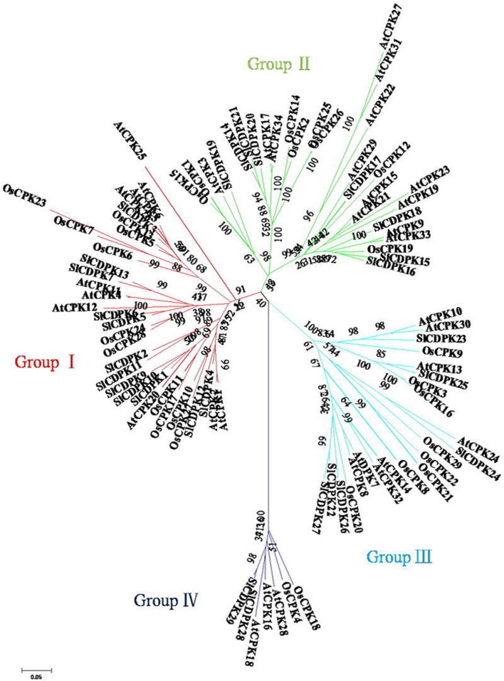 FIGURE 2