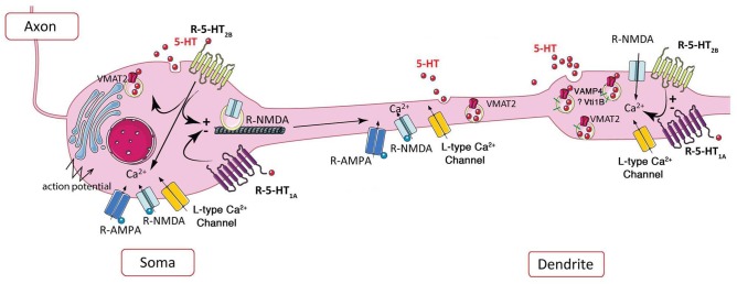 FIGURE 2