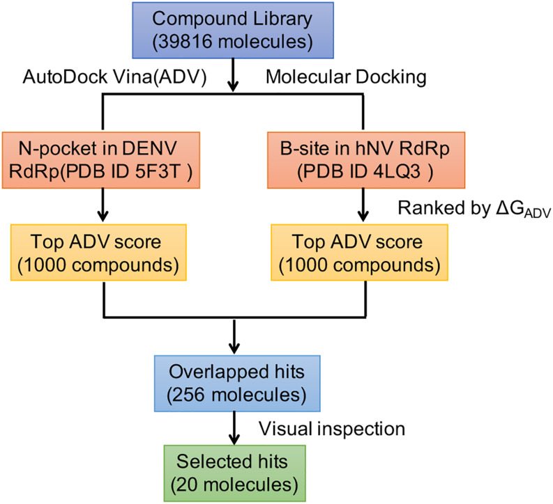 FIGURE 2