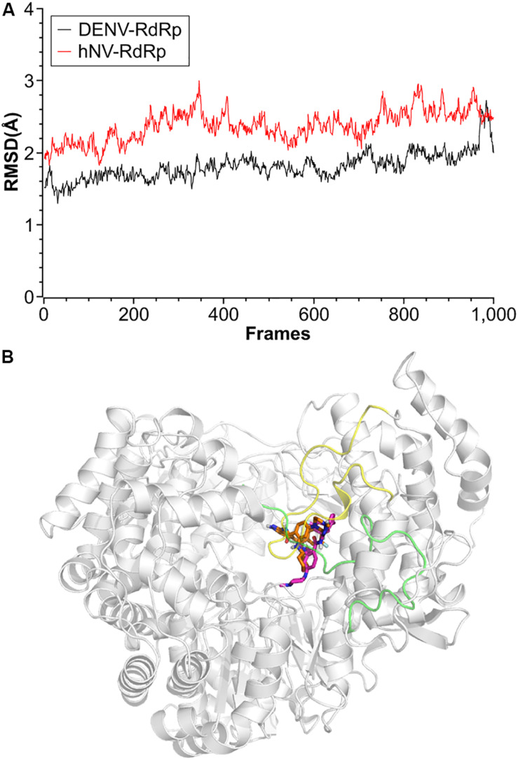 FIGURE 7