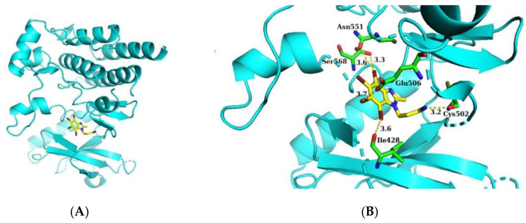 Figure 4