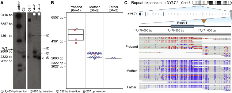 Figure 1