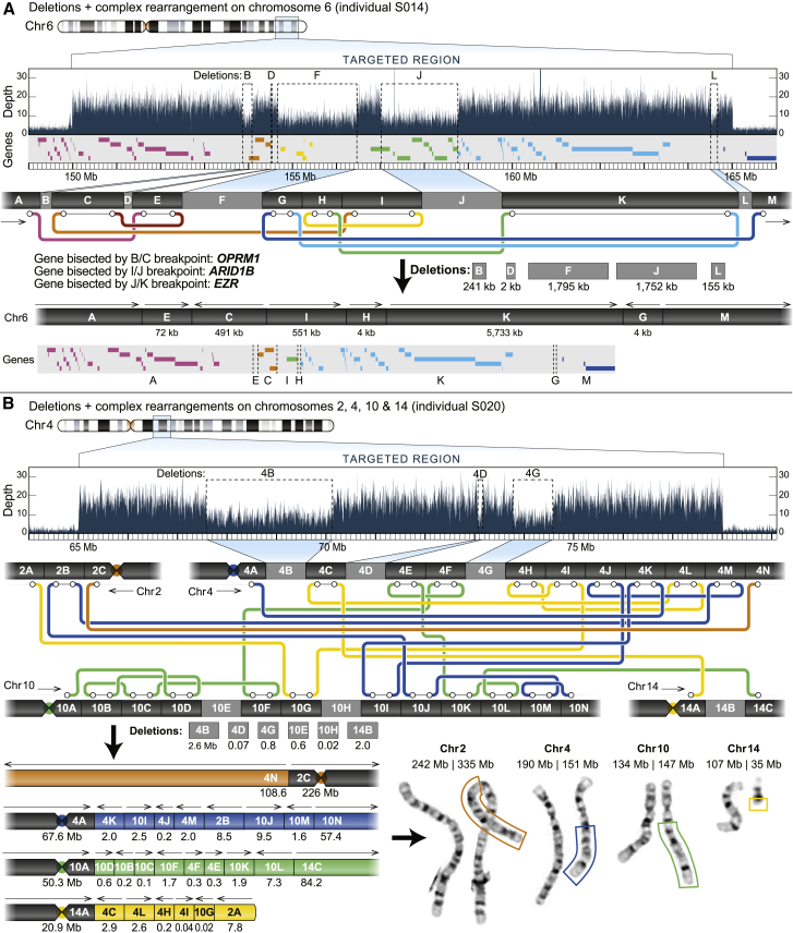 Figure 2