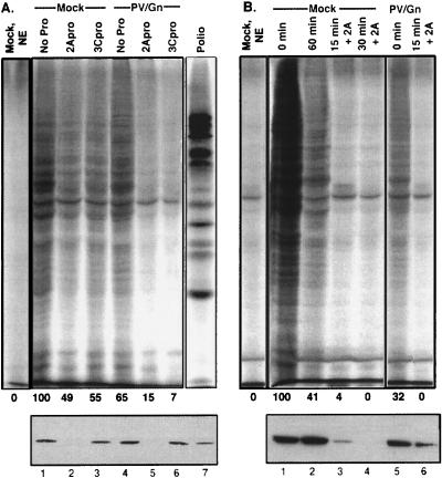 FIG. 8