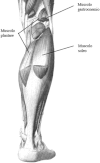Fig. 5