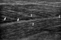 Fig. 6