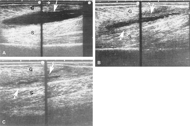 Fig. 8