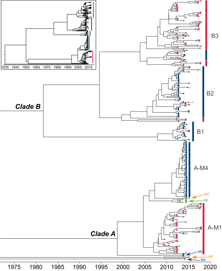 FIG 3