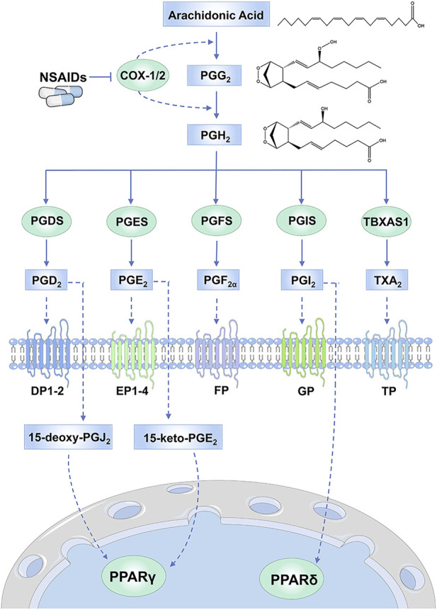 FIGURE 1