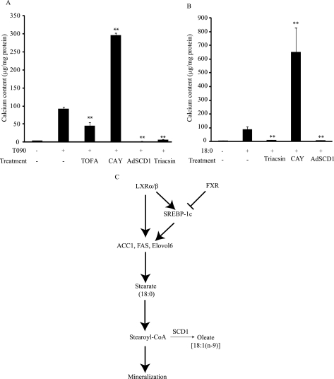 FIGURE 9.