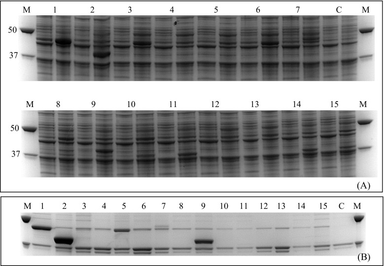 Fig. 5