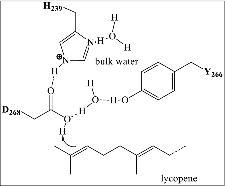 Fig. 8