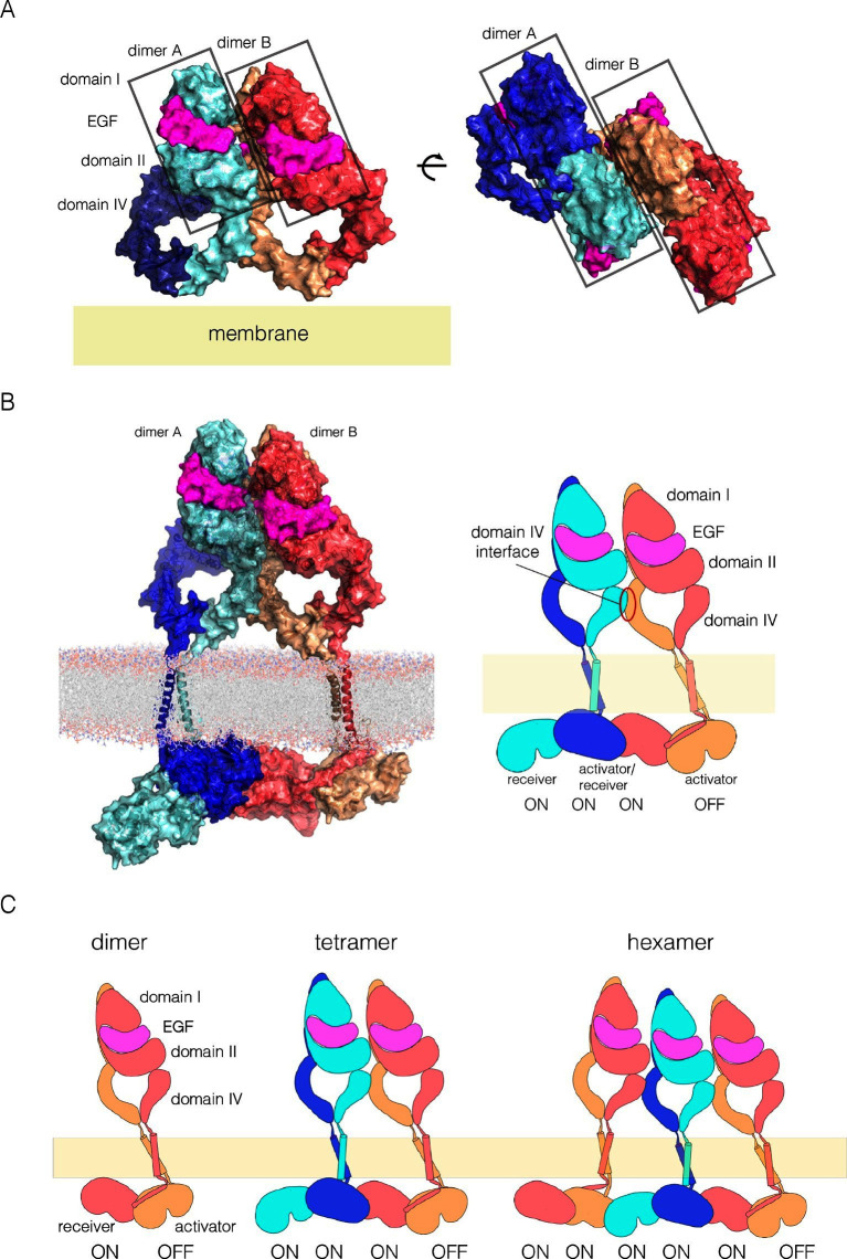 Figure 11.