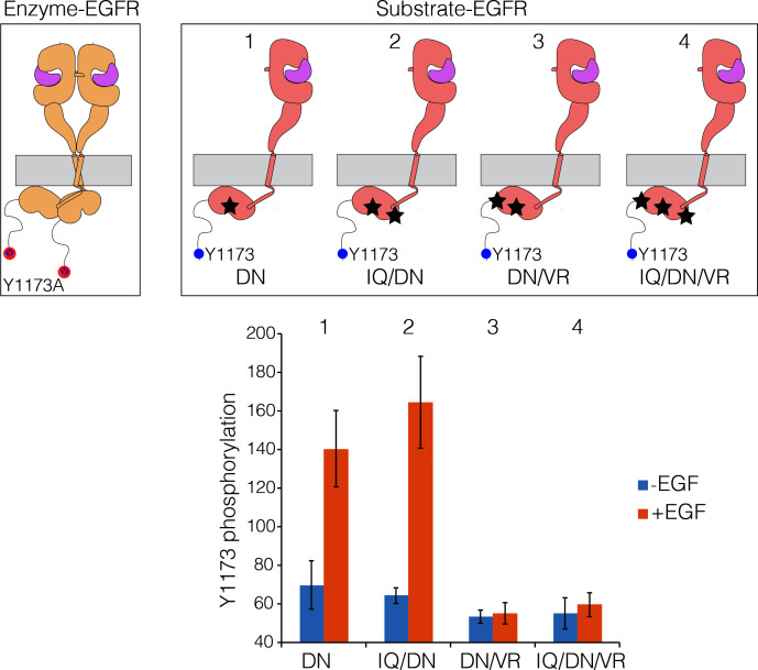 Figure 10.