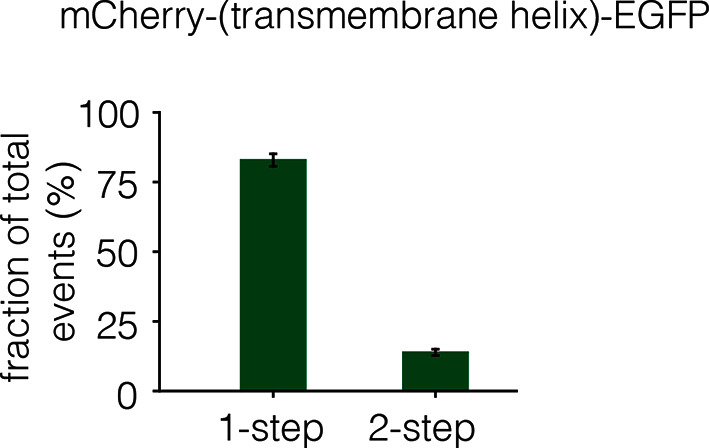 Figure 5—figure supplement 1.