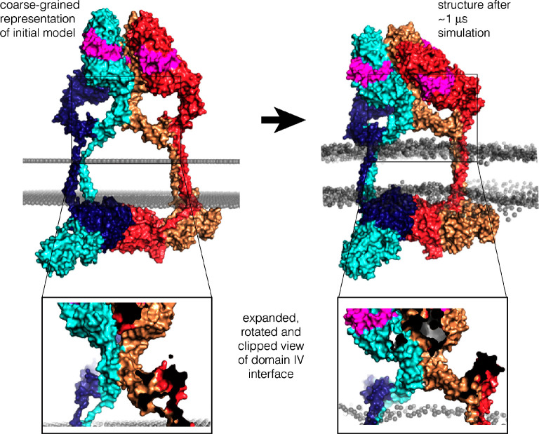 Figure 11—figure supplement 3.