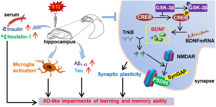 Graphical Abstract