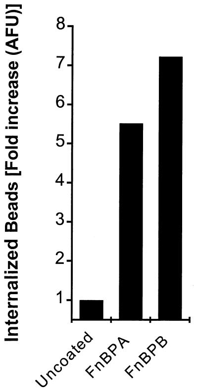 FIG. 6