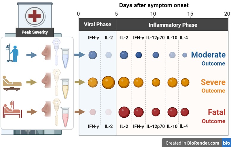 Graphical Abstract