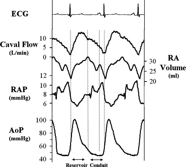 Fig. 3.