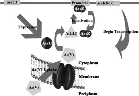 FIG. 6.