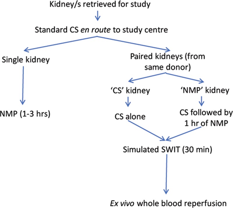 FIGURE 1.