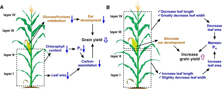 Figure 9.