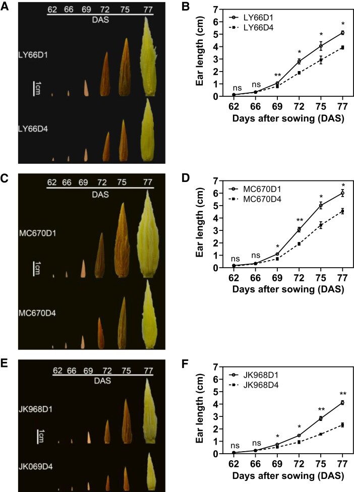 Figure 6.