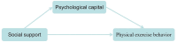 Flowchart illustrating the relationship between social support, psychological capital, and physical exercise behavior. Arrows indicate that social support influences both psychological capital and physical exercise behavior. Psychological capital also influences physical exercise behavior.