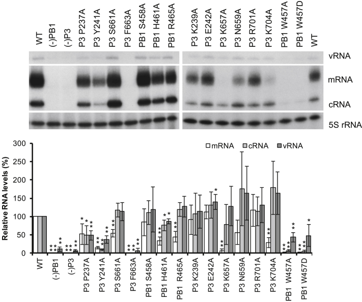 Figure 2