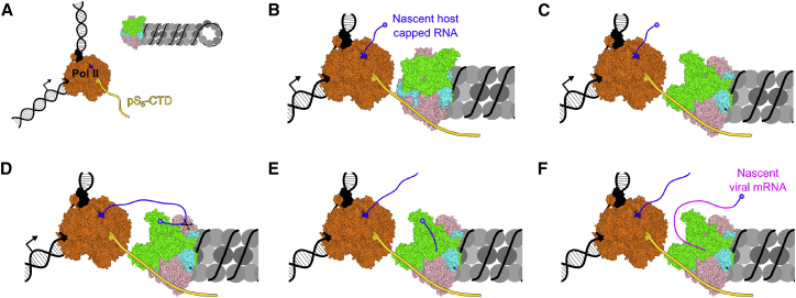 Figure 7