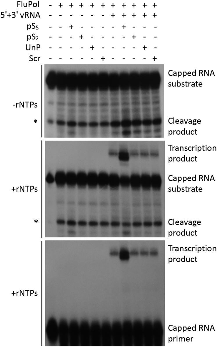 Figure 6