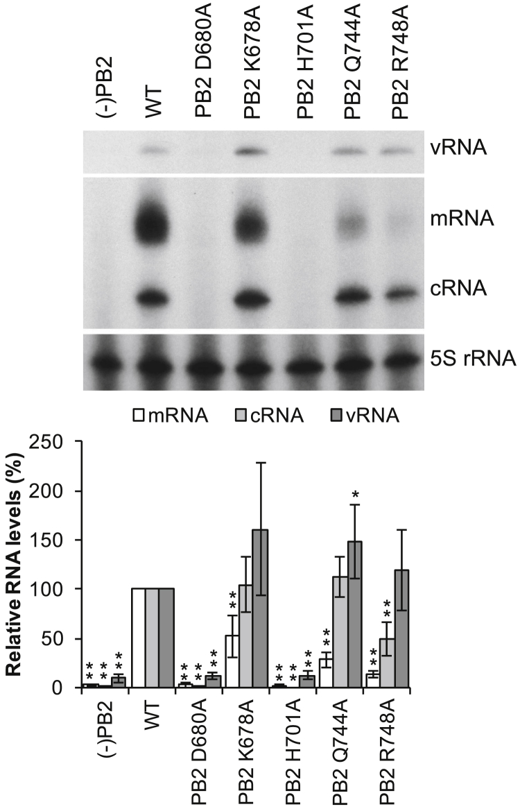 Figure 5