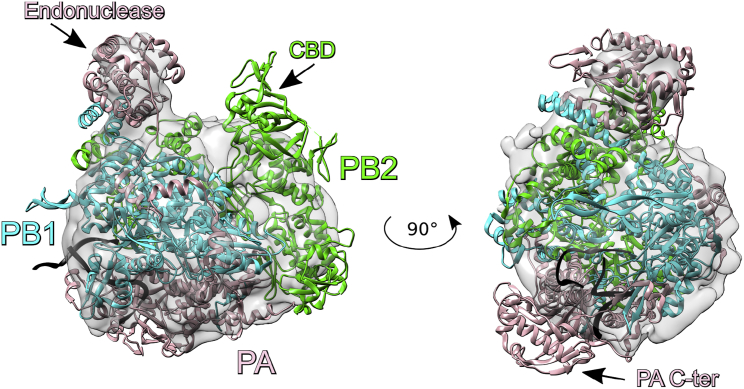 Figure 3