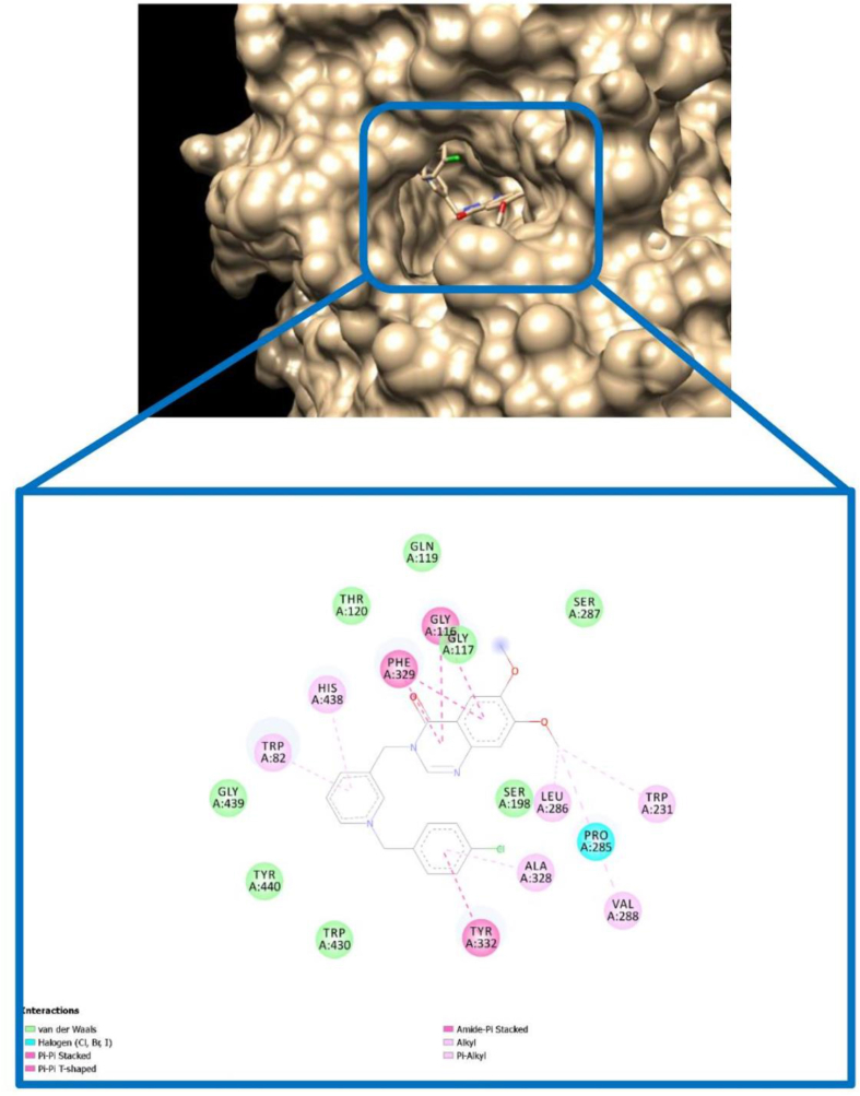Figure 11