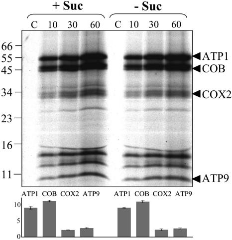 Figure 6.