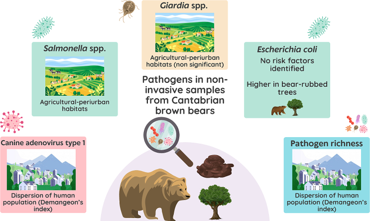 Unlabelled Image