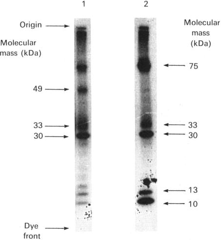 Fig. 9.