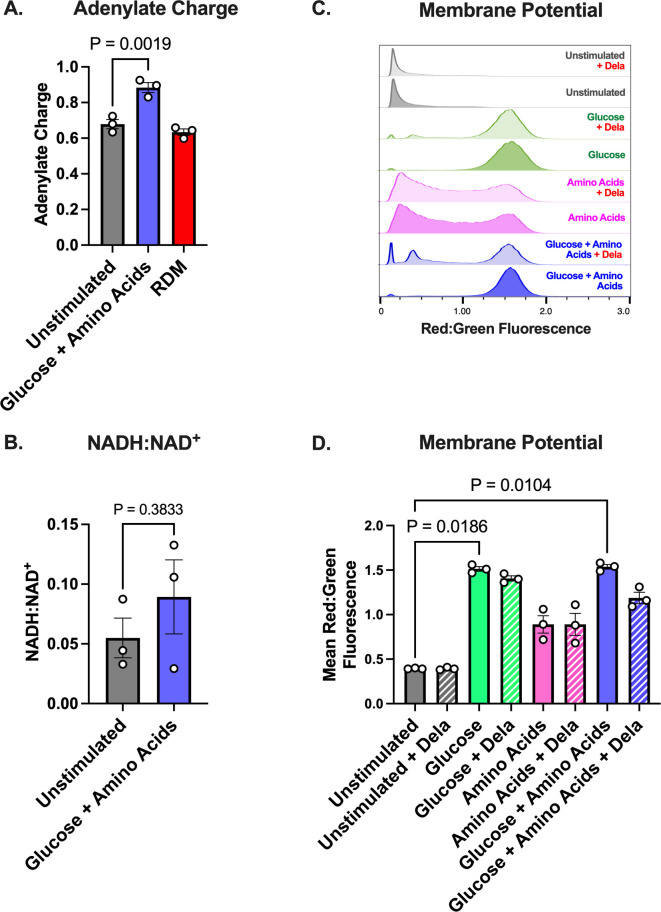 Bar graph depicts adenylate charge, highlighting a significant increase for glucose and amino acids. Density plots depict membrane potential based on fluorescence. Bar graph plots significant changes in membrane potential fluorescence across conditions.