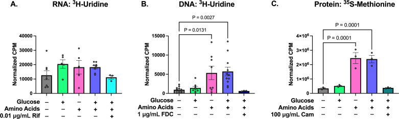 Graphs display RNA, DNA, and protein synthesis levels under different metabolic conditions, using radiolabeled uridine and methionine. Glucose and amino acids stimulate increased synthesis, with statistical significance noted for several comparisons.