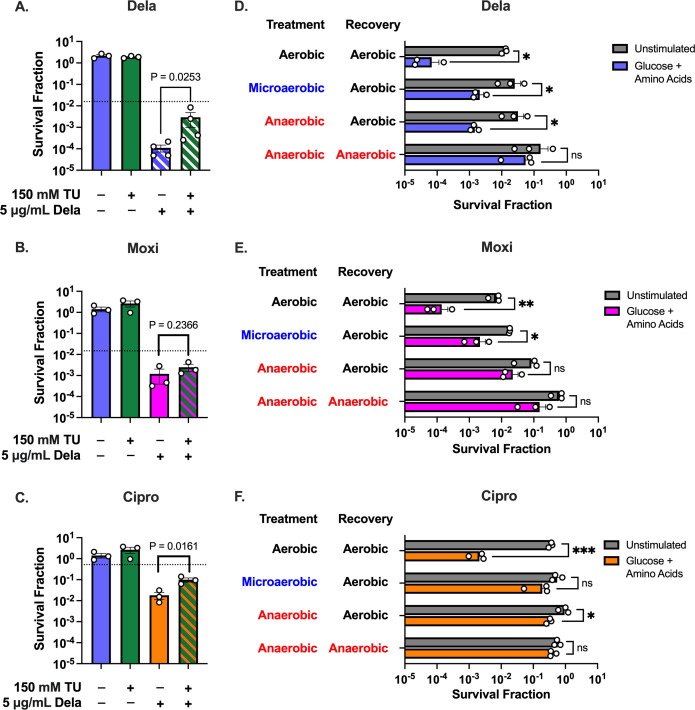 Bar graphs display survival fraction under different treatment and recovery conditions for Dela, Moxi, and Cipro. Significant differences are depicted between glucose and amino acids with aerobic, anaerobic, and microaerobic treatments.