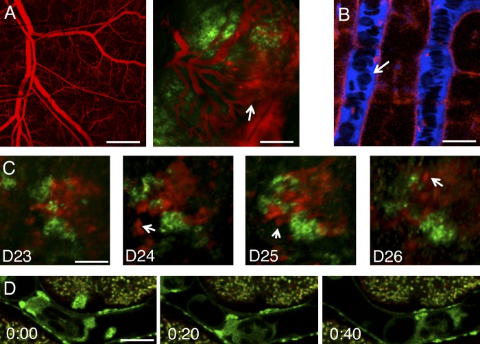 Figure 3.