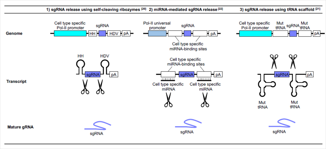 Figure 1: