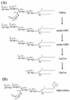 FIG. 3.