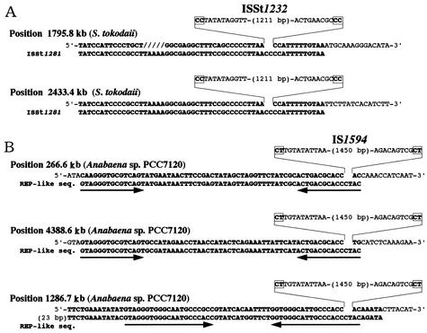 FIG. 7.