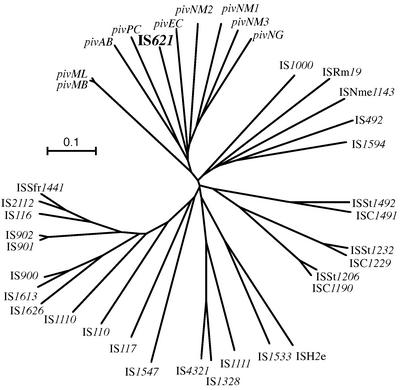 FIG. 5.